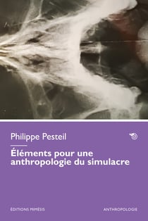 Éléments pour une anthropologie du simulacre