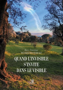 Quand l'invisible s'invite dans le visible