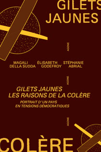 Gilets jaunes, les raisons de la colère