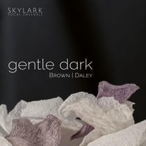 Gentle Dark - CD