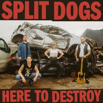 Here To Destroy - édition colorée - Vinyle