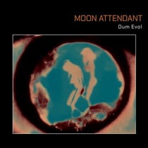 Dum Evol - Vinyle