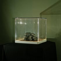 Cloch's Clai - CD