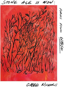 Stone Age Is Now Poems from Lithic - CD
