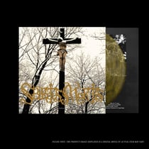 Fallen - édition colorée - Vinyle