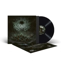 Desecration - Vinyle