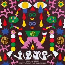 Something In The Way We Spin - Vinyle