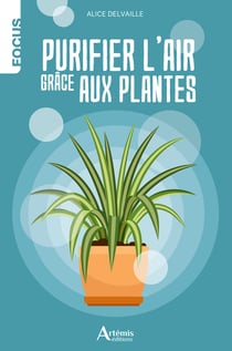 Purifier l'air grâce aux plantes