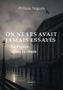 On ne les avait jamais essayé : La France après la chute