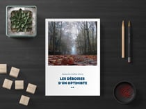 Les deboires d'un optimiste