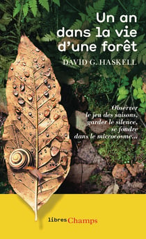Un an dans la vie d'une forêt