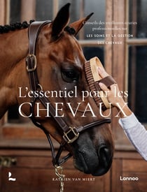 L'essentiel pour les chevaux : Conseils des meilleures écuries professionnelles sur les soins et la gestion des chevaux