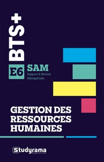 Bts+ - bts sam - gestion des ressources humaines - e6 - diagonstic, recommandations et documents pro