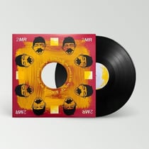 Ups And Downs - Vinyle