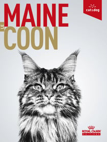 Le Maine Coon