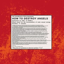 How To Destroy Angels - Vinyle