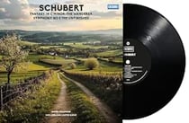 Fantasy The Wanderer - Symphony 8 The Unfinished - Vinyle