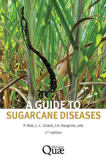 A guide to sugarcane diseases