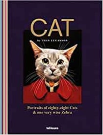 Cat - portraits of eighty-eight cats & a very wise zebra