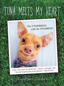 Tuna Melts My Heart - The Underdog with the Overbite