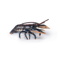 Homard - Papo