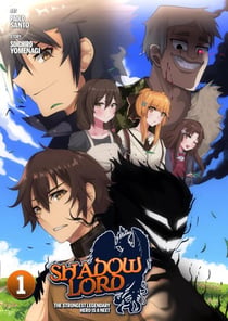 Shadow Lord: The Strongest Legendary Hero is a NEET - Light Novel, #1