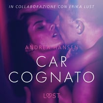 Caro cognato - Racconto erotico