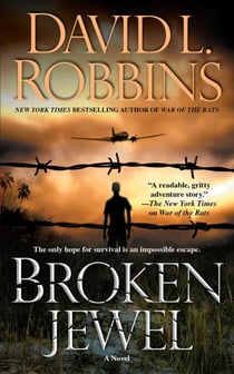 Broken Jewel - A Novel