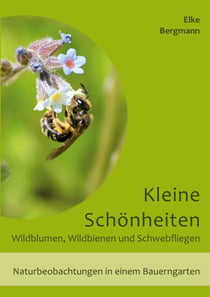 Kleine Schönheiten - Wildblumen, Wildbienen und Schwebfliegen - Naturbeobachtungen in einem Bauerngarten