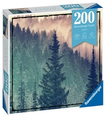 200P PUZZLE MOMENT WOOD