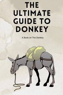 The Ultimate Guide to Donkey