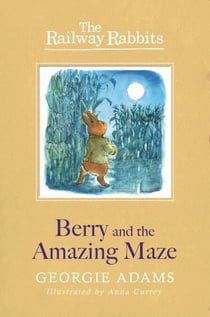 Berry and the Amazing Maze - Book 12
