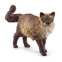 Chat Ragdoll