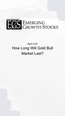 How Long Will Gold Bull Market Last? - Gold Sector, #2