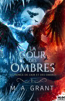 Le prince de l'Air et des Ombres - La Cour des Ombres, T1