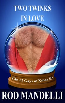 Two Twinks In Love - 12 Gays of Xmas, #2