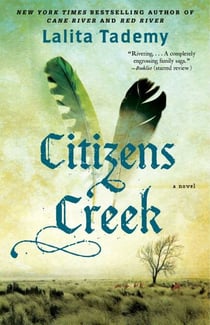 Citizens Creek - A Novel