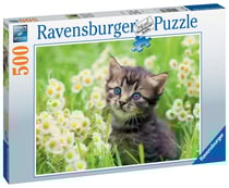 Puzzle 500 pièces - Chaton dans la prairie