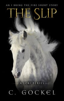 The Slip: An I Bring the Fire Short Story - I Bring the Fire