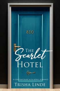 Room 810 - The Scarlet Hotel, #9