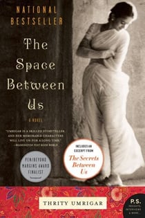 The Space Between Us - A Novel