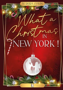 What a christmas in New York