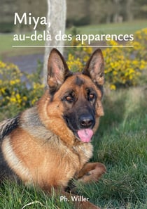 Miya - Au-delà des apparences