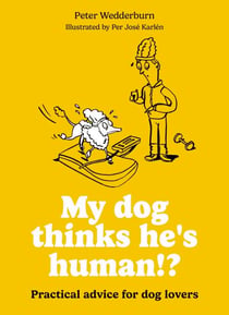 My dog thinks he's human!? - Practical advice for dog lovers