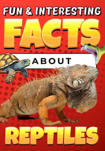 Fun & Interesting Facts About Reptiles