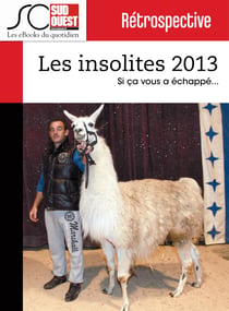 Les insolites de l'année 2013 - Si ça vous a échappé...