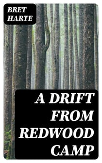 A Drift from Redwood Camp