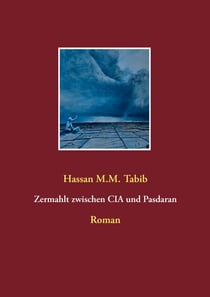 Zermahlt zwischen CIA und Pasdaran - Roman