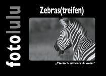 Zebras(treifen) - "Tierisch schwarz & weiss"