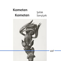 Kometen Kometen - Gedichte